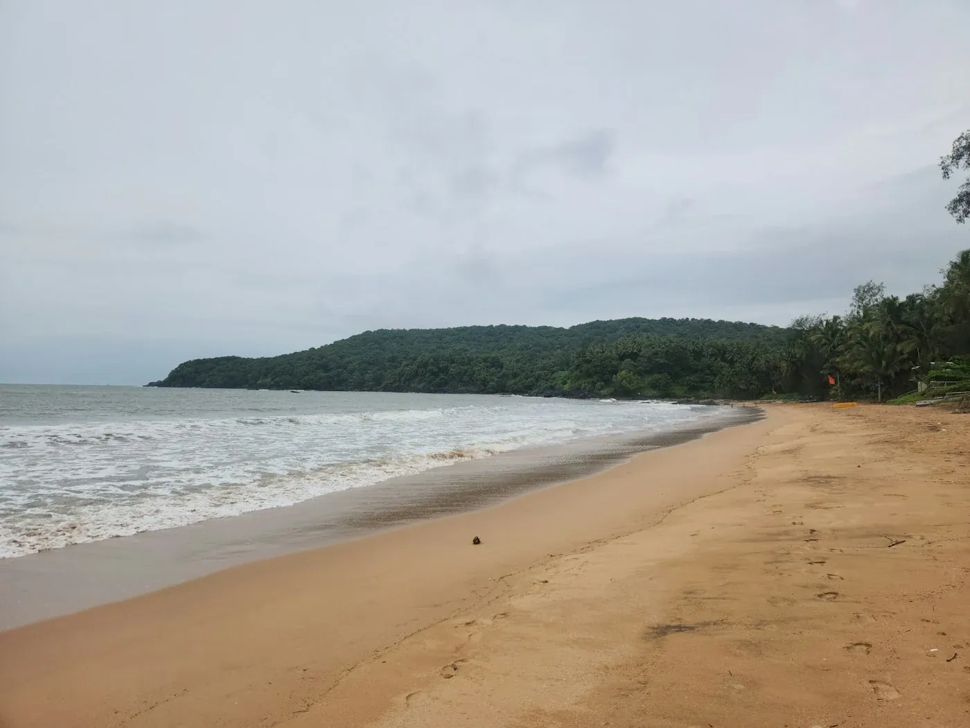 Long Goa beach with green headland